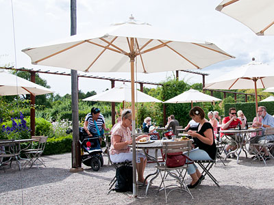 rosendalstradgard-cafe.jpg