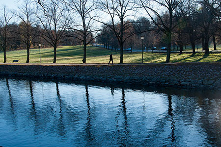 Djurgården
