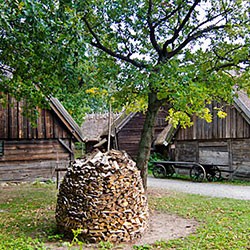 Skansen i Stockholm