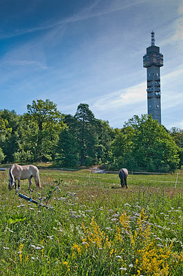 Kaknästornet i Stockholm