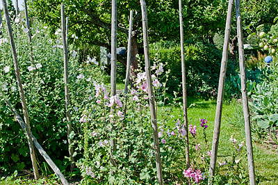 Rosendals trädgård i Stockholm